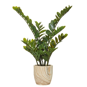 Clipping Path Services-9